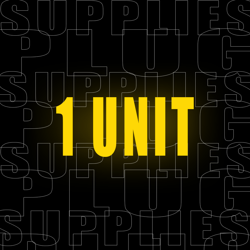 1 Unit – Custom Digital Order (basic)